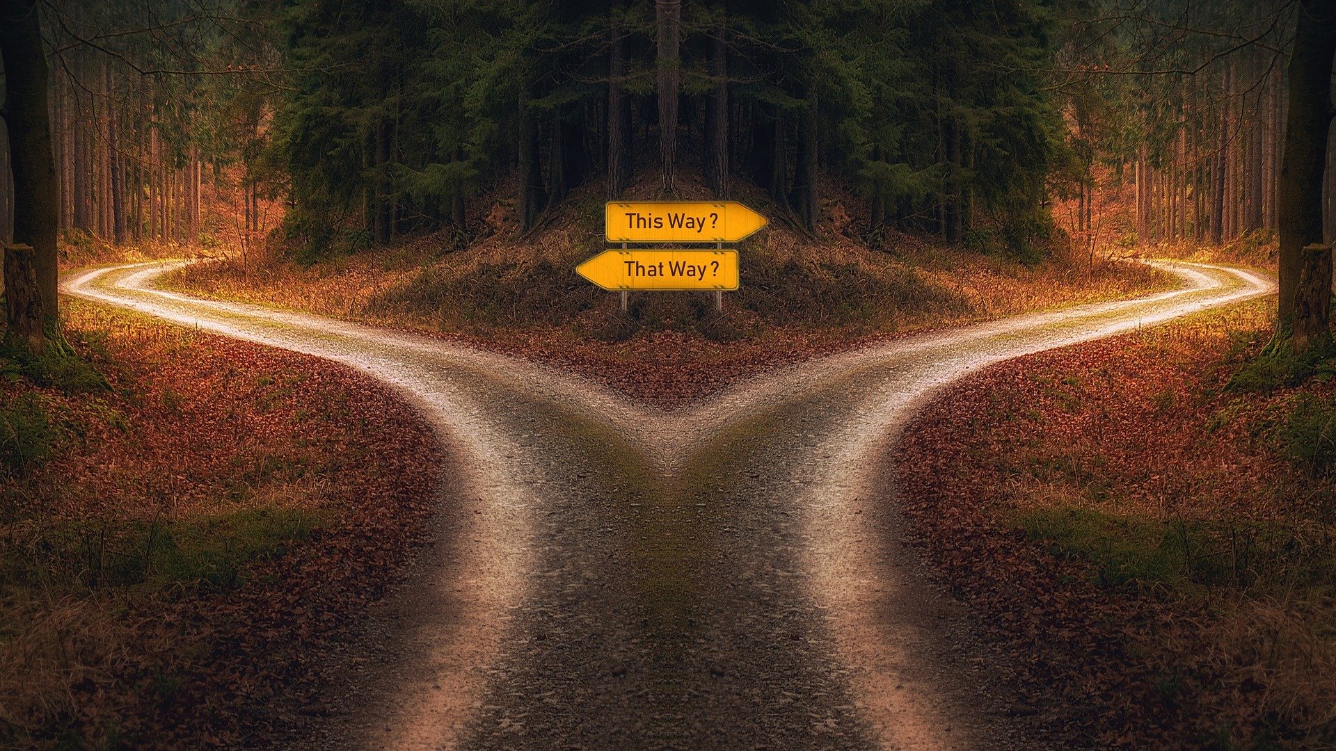 Road going in two directions