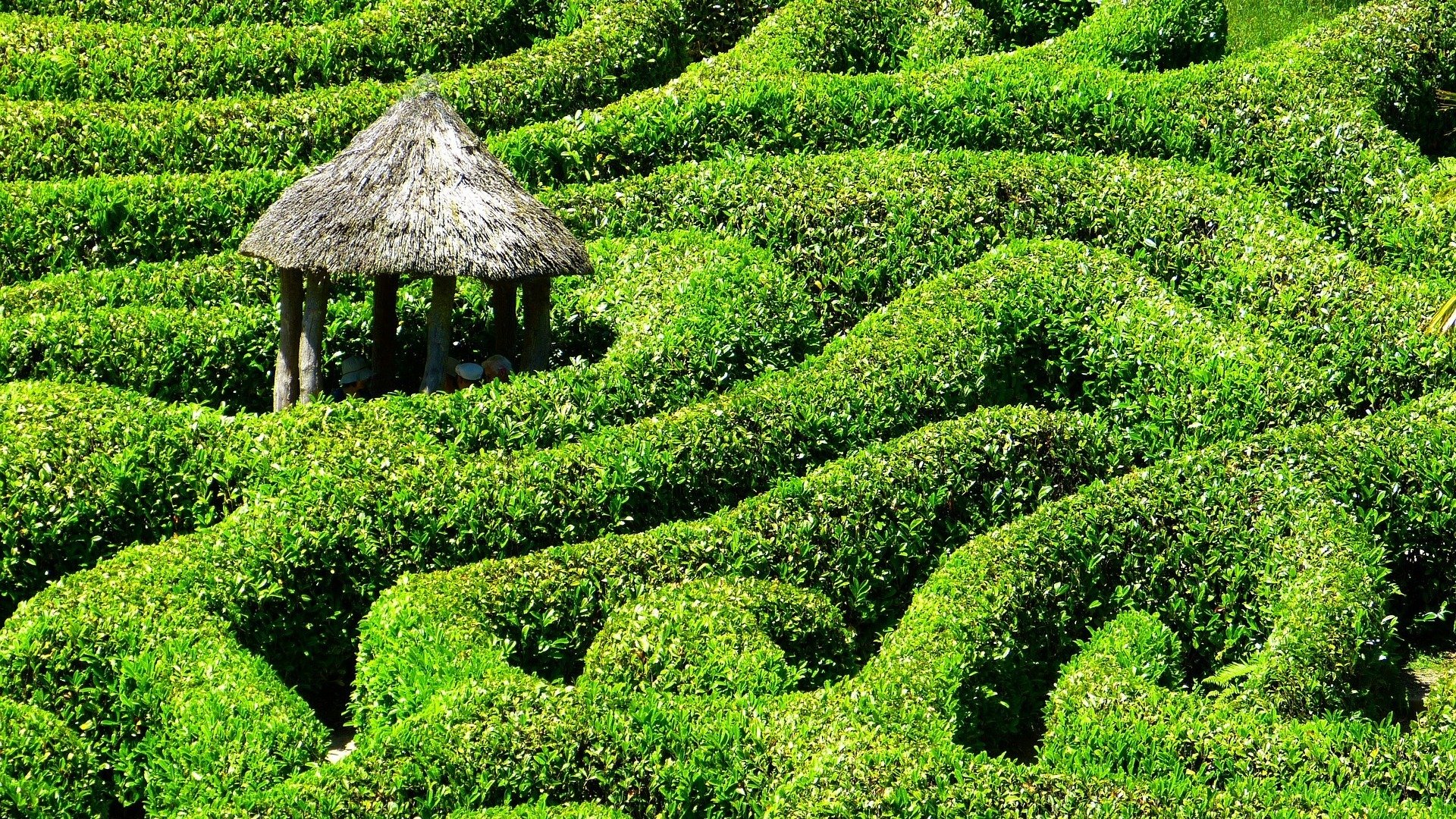 Maze made of hedges leading to a small hut